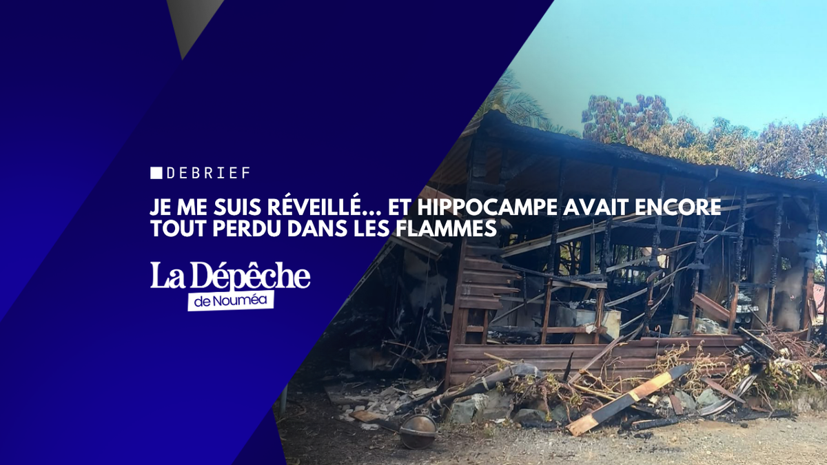 Je me suis réveillé… et Hippocampe avait encore tout perdu dans les flammes